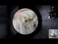 iamforest - iamforest LP - Crystal Gypsy