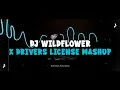 Download Lagu DJ WILDFLOWER FULL BASS VIRAL TIKTOK TERBARU 2025