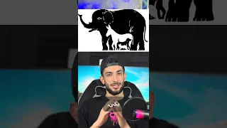 چندتا حیوان دیدی بنویس 