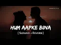 Hum Aapke Bina (Slowed + Reverb) | Arijit Singh, Pritam | Sikandar | Anshul3zx