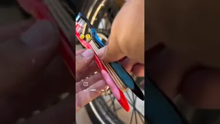                     دندنها