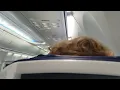 SAFETY BRIEFING Southwest B737-800 WN748