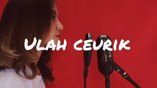 ulah ceurik dedi krisna cover by fanny sabila