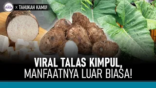 Manfaat Talas Kimpul dan Kandungan Gizinya | Hidup Sehat tvOne