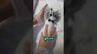 كيف ت صنع ألعاب السكويشي سر المرح اللزج 