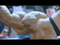 OLD SCHOOL BODYBUILDING TRAINING MOTIVATION - PUMP SOME IRON