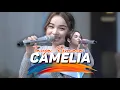 Download Lagu Tasya Rosmala - Camelia || Ijjoo Production - Versi Dangdut || Live Pernikahan Badi \u0026 Feby Madiun