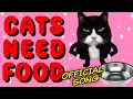 Download Lagu Cats Need Food [Official] Kittycat Song 2