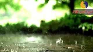 نغمة رنين فضل شاكر 