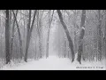 쿠와타 케이스케 桑田佳祐 – 白い恋人達 (Full ver)(With walking in snow sounds)