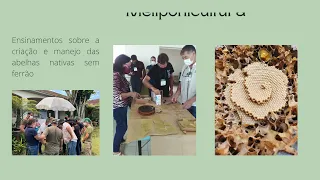 horto agroflorestal sabores e saberes extens o universit ria