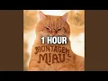 Lagu Montagem Miau (1 HOUR)