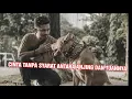 Download Lagu KECINTAAN GUE TERHADAP FLOKI AND THE CLAN | TIDUR BARENG ANJING GALAK