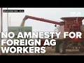 Download Lagu Agriculture secretary vows no amnesty for foreign workers