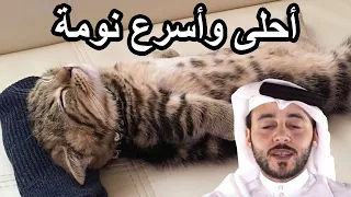 نام في أول ٥ دقايق من المقطع الأرق تنويم ذاتي 