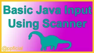 Basic Java Input using Scanner methods next and nextInt - Java Tutorial