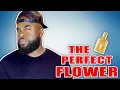 Tom Ford Black Orchid Parfum Fragrance Review