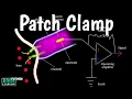 Patch Clamp Technique
