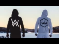 Alan Walker-135