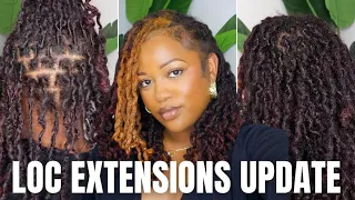 Loc Extensions Update 9 Months In New Color Managing Thinning Shrinkage