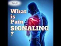 What is Pain Signaling