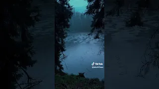 اعطيت لنفسي اسم فنان  دندنها