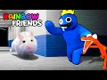 Download Lagu Hamster Adventures In Rainbow Friends Maze In Real Life [OBSTACLE COURSE]