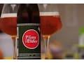 Tolbert s Beer Reviews Pliny the Elder