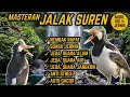 Download Lagu SUARA MASTERAN JALAK SUREN NEMBAK RAPAT ! JEDA, TERAPI AIR \u0026 ALAM. ANTI STRES !