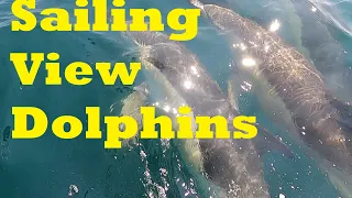 Sailing View of the Dolphins