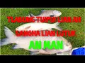 Download Lagu TLABUNG TUILIAN AH SANGHA LIAN AN MAN