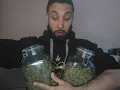 CandyLand Strain Weigh In