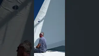 NEW North Sails. Dacron main and 3Di ocean 360 Genoa.