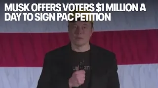 Musk offers voters $1 million a day to sign PAC petition backing the Constitution. Is that legal?