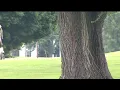 Geneseo Country Club Golf Deal