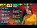 Download Lagu DJ DANGDUT NONSTOP FULL ALBUM - REMIX TERBAIK FULL BASS ENAK DIDENGAR SAMBIL KERJA