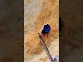Download Lagu amazing blue agate in lake superior rocks 43 #crystalhunting #youtubeshorts #shortsvideo