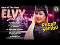 Download Lagu Best Of The Best Elvy Sukaesih