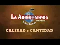 La Arrolladora Banda El Limón De René Camacho - Calidad Y Cantidad (Lyric Video)