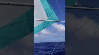 19 days at sea