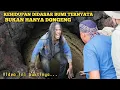 Terbukti.!! kehidupan di dasar bumi ternyata bukan hanya dongeng, video ini buktinya