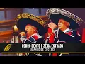 Download Lagu Pedro Bento \u0026 Zé Da Estrada - 55 Anos De Sucesso - Show Completo