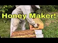 Download Lagu 🍯 So Much Honey! - We Stopped them from Swarming!
