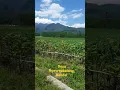 Download Lagu viral ... !!! pesona alam indonesia | desa ngesrepbalong kendal #shorts