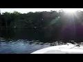 How To Use The Bait And Chum Bat Lee Fisher Sports