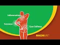 Download Lagu MagniLife Arnica Pain Relief Gel