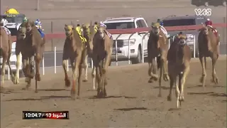 الشوط 13 الشاهينية لـ محمد حمد حميد راعي قحير الدرعي 12 43 ختامي الوثبة 2020 3 17 ثنايا صباح 