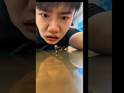 This boy kissed his pet bee