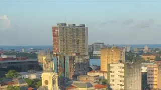 DIA DOS PAIS GRANDE RECIFE #lekthebestkennel