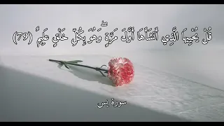 آية قل يحييها الذي أنشأها أول مرة مكررة اسمعها عند التمشيط لاحياء الشعر وخلايا الجسم بإذن الله 